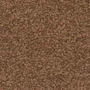 Charmeuse - Clay by Bremworth Aspire Collection, a Twist for sale on Style Sourcebook