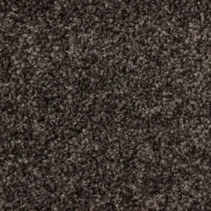 Whisper Trail by Bremworth Origin Collection, a Twist for sale on Style Sourcebook