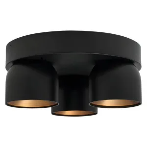 Nordlux Pitcher 3 Light Adjustable Ceiling Spotlight - Black by Nordlux, a Spotlights for sale on Style Sourcebook
