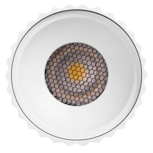 Havit Nella EXT Fluted 12W 12V Surface Mounted Outdoor LED Downlight Medium - White by Havit, a Spotlights for sale on Style Sourcebook