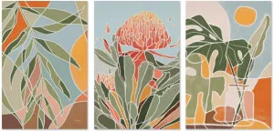 Native Botanics, Style B, Set Of 3 by Gioia Wall Art, a Prints for sale on Style Sourcebook