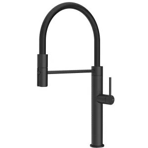 60220#299 Gessi 316 G'N Flexi Engrave MB by 316, a Kitchen Taps & Mixers for sale on Style Sourcebook