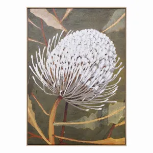 Bushland Waratah Box Framed Canvas in 102 x 142cm by OZ Design, a Painted Canvases for sale on Style Sourcebook