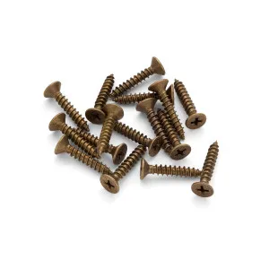 Countersunk Timber Hinge Screw (16 pack) - Various Finishes by Manovella, a Door Hardware for sale on Style Sourcebook