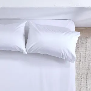 Pillow Talk 300Tc Fitted Sheet White by Pillow Talk, a Sheets for sale on Style Sourcebook