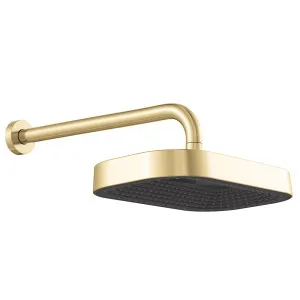 Kuro Shower Arm Set, Soft Square Head, Urban Brass by Fienza, a Shower Heads & Mixers for sale on Style Sourcebook