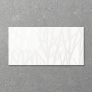 Allure Woods Whitehaven (Gloss) 300x600 by Sanctuary Makers, a Porcelain Tiles for sale on Style Sourcebook
