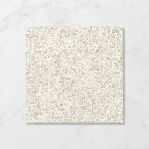 Terra Foray Biscotti Beige (Matt) 450x450 by Sanctuary Makers, a Terrazzo Look Tiles for sale on Style Sourcebook
