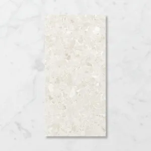 Terra Palacio Light Rye (Matt) 300x600 by Sanctuary Makers, a Terrazzo Look Tiles for sale on Style Sourcebook