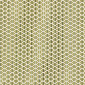 Raye Pistachio by Ashley Wilde, a Fabrics for sale on Style Sourcebook