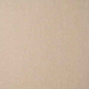 Leon Putty by Ashley Wilde, a Fabrics for sale on Style Sourcebook