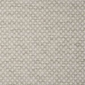 Arlo Dove by Ashley Wilde, a Fabrics for sale on Style Sourcebook