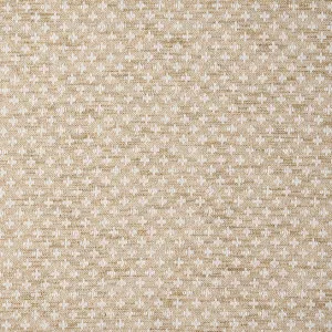 Arlo Oatmeal by Ashley Wilde, a Fabrics for sale on Style Sourcebook