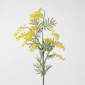 Australian Wattle 85cm Yellow by JMC FLORALS, a Plants for sale on Style Sourcebook