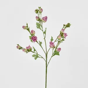 Blushing Bride Spray Purple by JMC FLORALS, a Plants for sale on Style Sourcebook