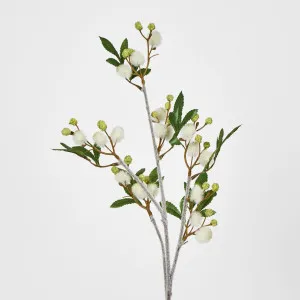 Blackwood Wattle 85cm White by JMC FLORALS, a Plants for sale on Style Sourcebook