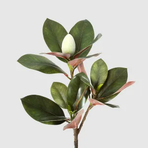 Magnolia Bud 85cm Green by Florabelle Living, a Plants for sale on Style Sourcebook