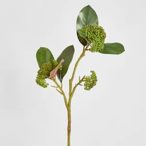 Magnolia Berry Spray 80cm Green by Florabelle Living, a Plants for sale on Style Sourcebook