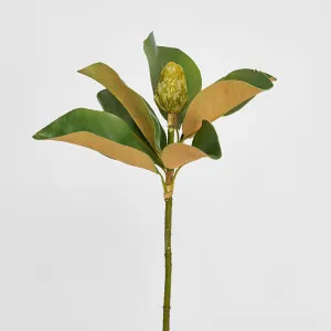 Magnolia Bud 60cm Green by Florabelle Living, a Plants for sale on Style Sourcebook