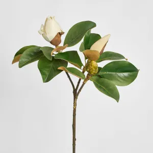 Magnolia Bud 60cm White by Florabelle Living, a Plants for sale on Style Sourcebook