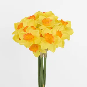 Daffodil Bouquet by JMC FLORALS, a Plants for sale on Style Sourcebook