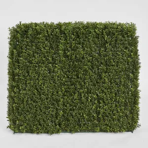 Boxwood Hedge 93x100cm by TREE CREATIONS, a Plants for sale on Style Sourcebook