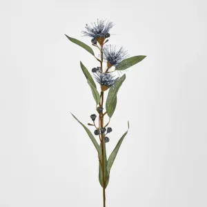 Flowering Eucalyptus Purple by JMC FLORALS, a Plants for sale on Style Sourcebook