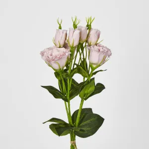 Lisianthus Bundle with Buds Pink by JMC FLORALS, a Plants for sale on Style Sourcebook