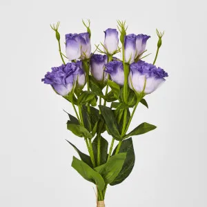 Lisianthus Bundle with Buds Purple by JMC FLORALS, a Plants for sale on Style Sourcebook
