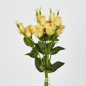 Lisianthus Bundle with Buds Yellow by JMC FLORALS, a Plants for sale on Style Sourcebook