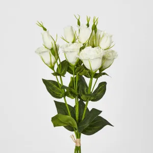 Lisianthus Bundle with Buds White by JMC FLORALS, a Plants for sale on Style Sourcebook