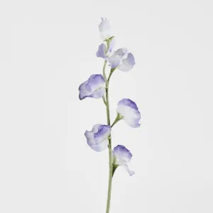 Sweetpea Light Purple by JMC FLORALS, a Plants for sale on Style Sourcebook