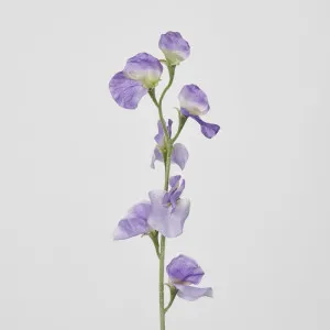 Sweetpea Purple by JMC FLORALS, a Plants for sale on Style Sourcebook
