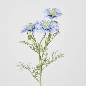 Scabiosa Spray with Buds Light Blue by JMC FLORALS, a Plants for sale on Style Sourcebook