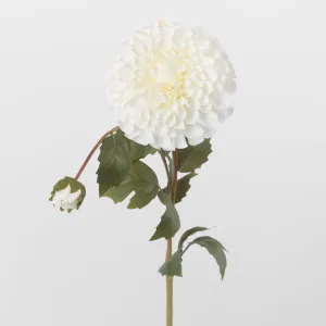 Dahlia White with Bud by JMC FLORALS, a Plants for sale on Style Sourcebook