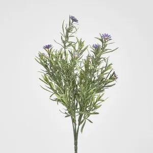Wild Daisy Bush Purple by JMC FLORALS, a Plants for sale on Style Sourcebook