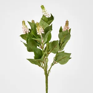 Allium Seed Bush Pink by JMC FLORALS, a Plants for sale on Style Sourcebook