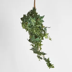 Hanging Green Ivy Bush by JMC FLORALS, a Plants for sale on Style Sourcebook