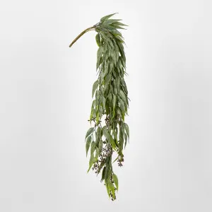 Seeded Hanging Eucalyptus Bush by JMC FLORALS, a Plants for sale on Style Sourcebook