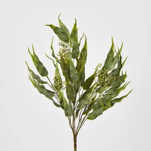 Seeded Eucalyptus Leaf Bush 53cm by JMC FLORALS, a Plants for sale on Style Sourcebook