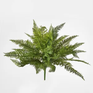 Leather Fern Bush W/34 Leaves by JMC FLORALS, a Plants for sale on Style Sourcebook