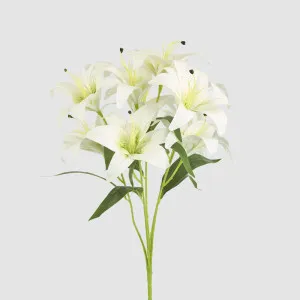 Casablanca Lily Bunch White by JMC FLORALS, a Plants for sale on Style Sourcebook