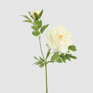 Leafy Peony Flower Stem White by JMC FLORALS, a Plants for sale on Style Sourcebook
