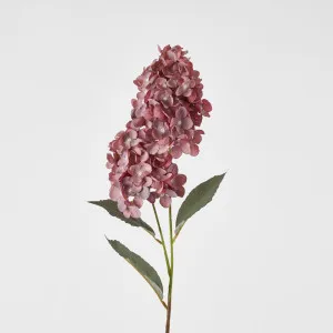 Dark Pink Cone Hydrangea 93cm by JMC FLORALS, a Plants for sale on Style Sourcebook