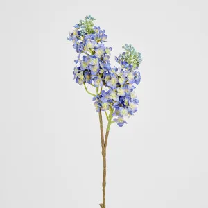 Baby Delphinium Blue by JMC FLORALS, a Plants for sale on Style Sourcebook