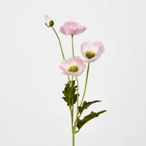 Mini Poppy Spray Light Pink by JMC FLORALS, a Plants for sale on Style Sourcebook