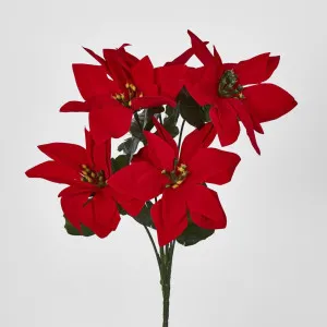 Poinsettia Bush Red Box of 60 by JMC FLORALS, a Plants for sale on Style Sourcebook