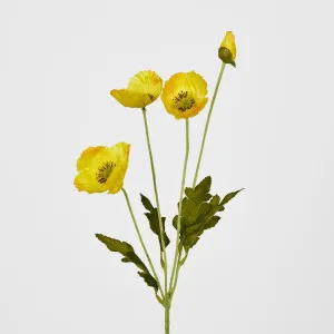 Mini Poppy Spray Yellow by JMC FLORALS, a Plants for sale on Style Sourcebook