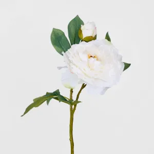 Peony Stem With Bud 48cm White by JMC FLORALS, a Plants for sale on Style Sourcebook
