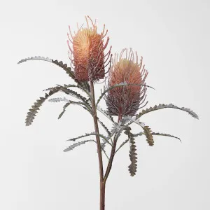 Banksia Double Spray Orange by JMC FLORALS, a Plants for sale on Style Sourcebook